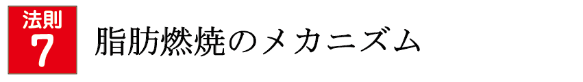 脂肪燃焼のメカニズム